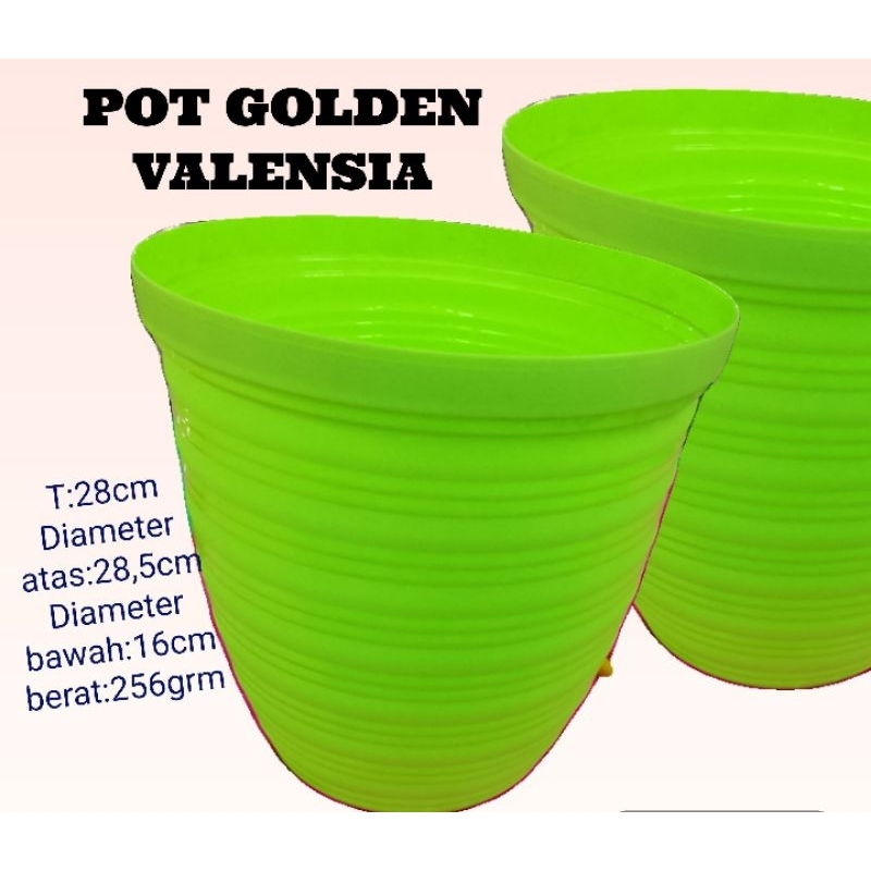pot.bunga.pot.golden.valensia.pot.jumbo.pot.kecil.pot bonsai.pot.tanaman.hias.pot.tanaman.sayuran.po