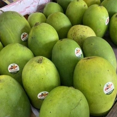 

Mangga Suluhan Matang Pohon 1 Kg