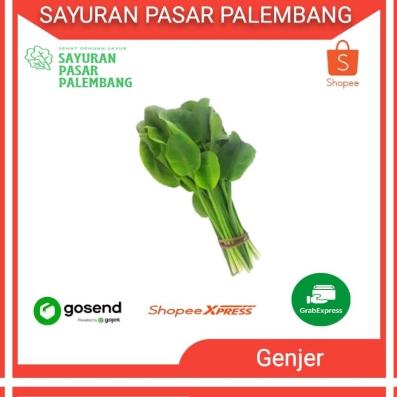 

Sayur Genjer segar - Sayuran Pasar Palembang