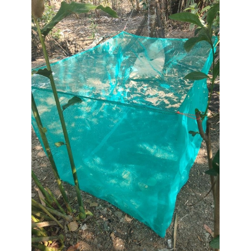 

hapa ikan siap pakai 200×100×100