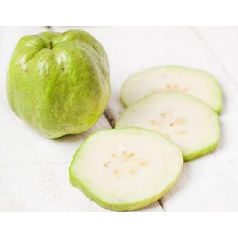 

Jambu kristal rujak 1kg