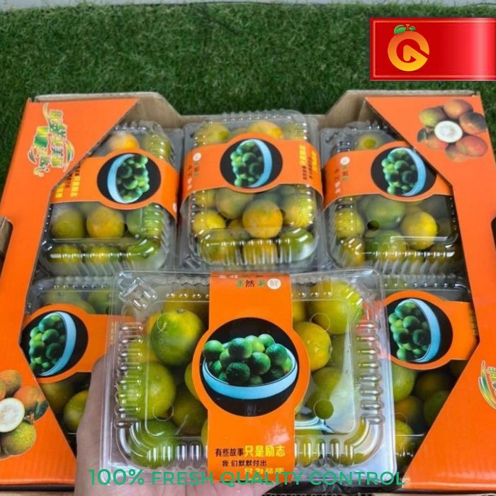 BUAH JERUK GREEN KIMKIT MADU FRESH 400 GRAM