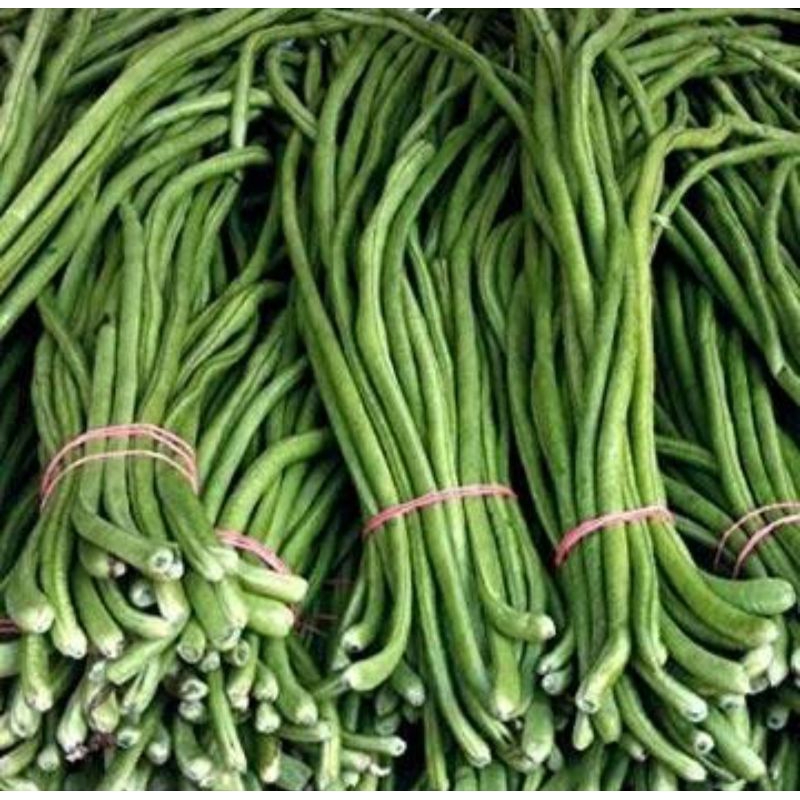 

kacang panjang 250 gr