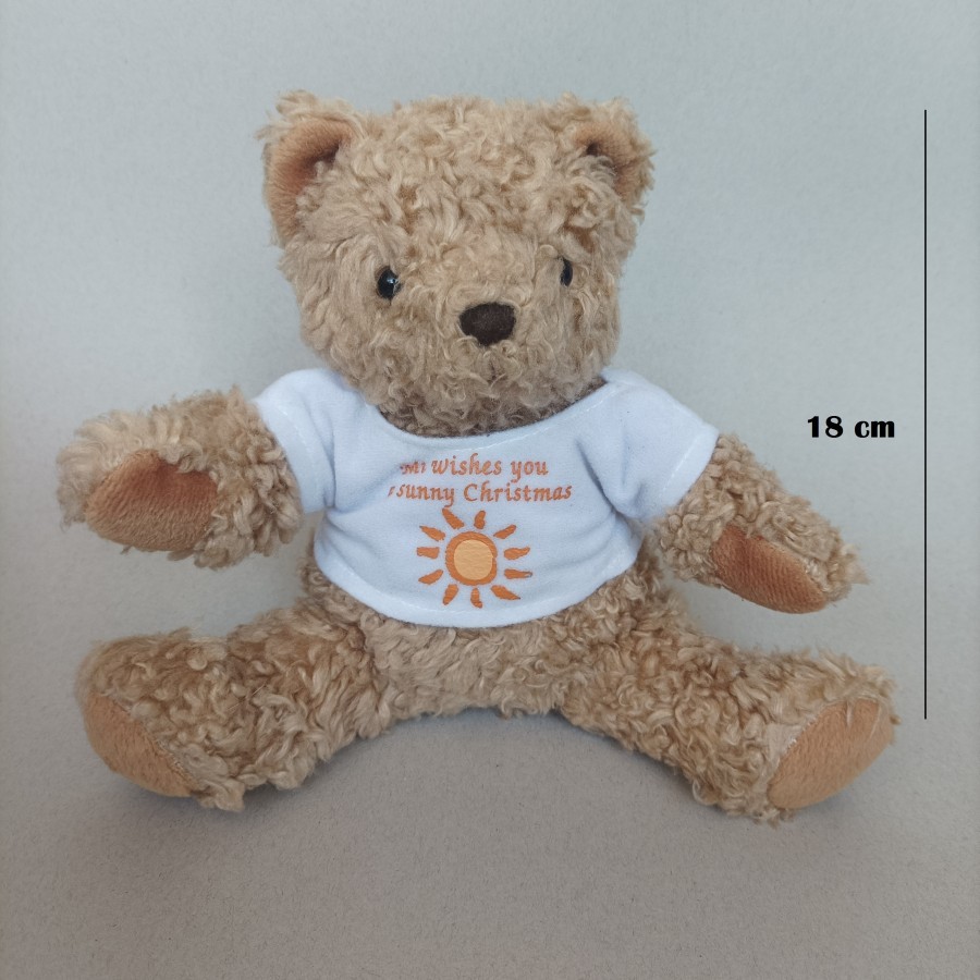 Sasha's Boneka Teddy Bear Kaos Putih 18 cm