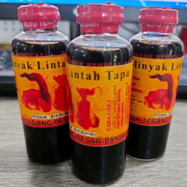 MINYAK LINTAH TAPA ASLI ORIGINAL 100 % MURNI