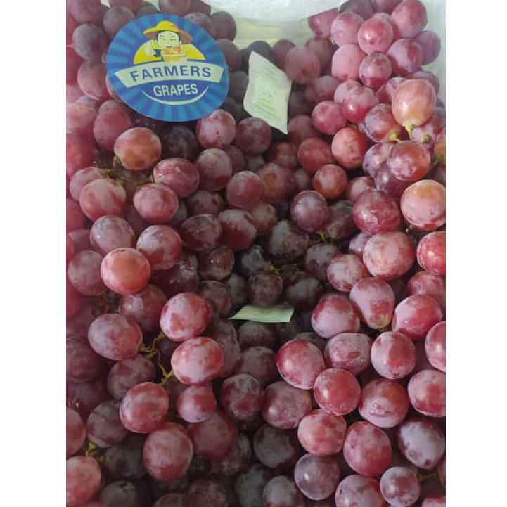 

ANGGUR RED GLOBE FRESH PACK 500GRAM PROMOOO