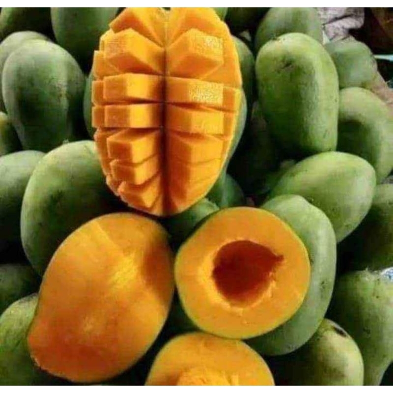 

MANGGA ALPUKAT FRESH 1KG/MANGGA ALPUKAT SUPER MANIS/MANGGA ALPUKAT PREMIUM FRESH