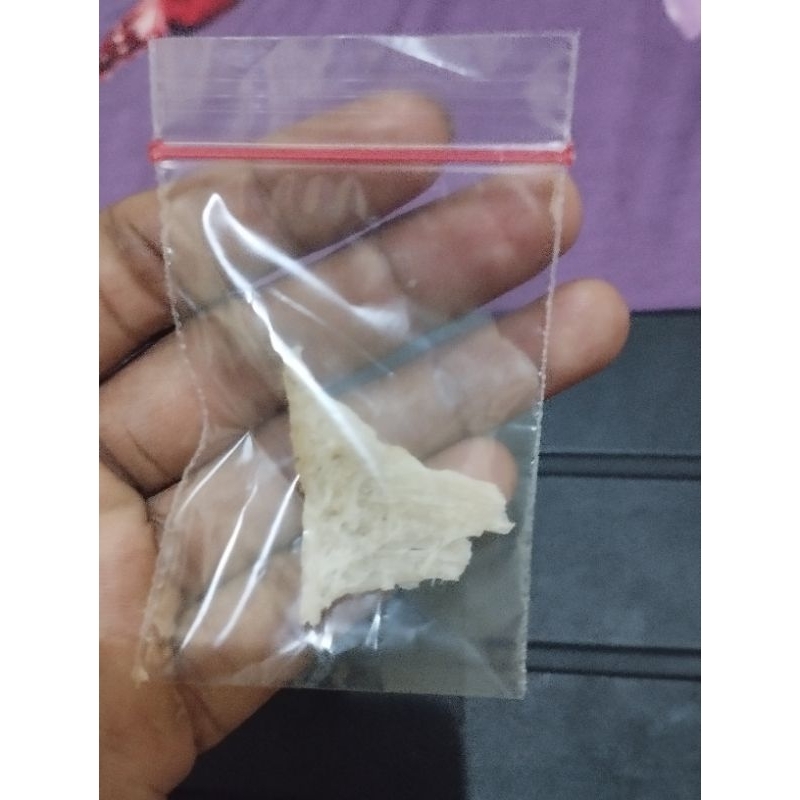 

sarang walet patahan