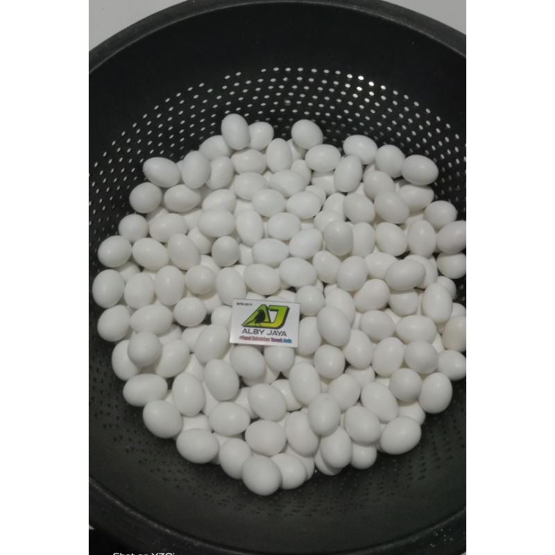 telur mainan/ telur merpati / telur palsu