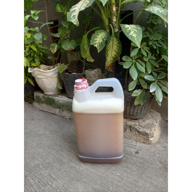 

madu murni nektar randu 5 kg madu asli