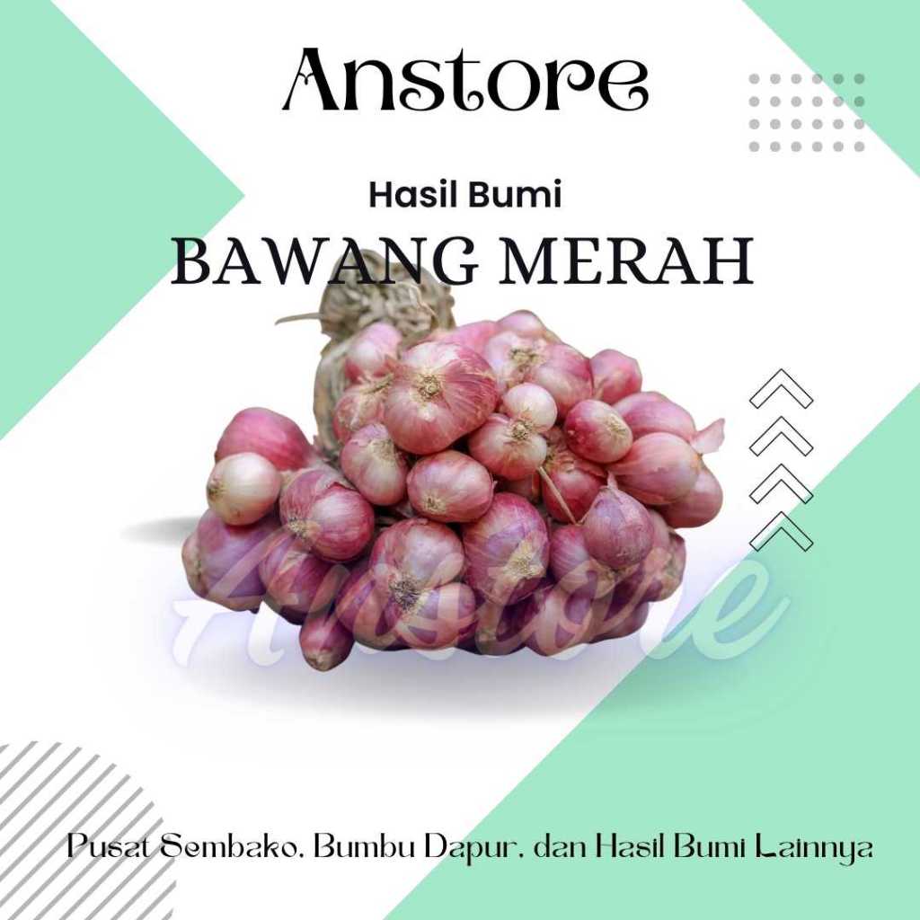 

Bawang Bali, Bawang merah bali, Bawang Karet, bawang songan, red onion, bawang merah
