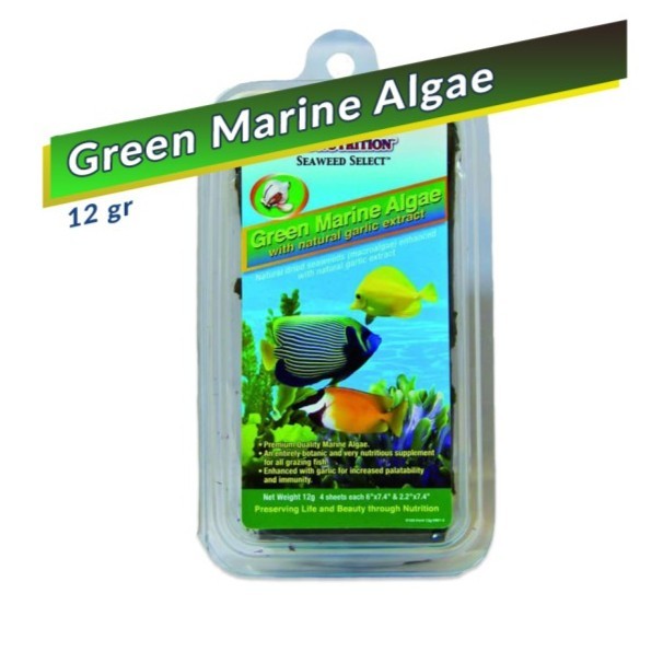 Ocean Nutrition Green Marine Algae Seaweed 12 gr Makanan Ikan Hias Tawar dan Laut / ONGMAS12
