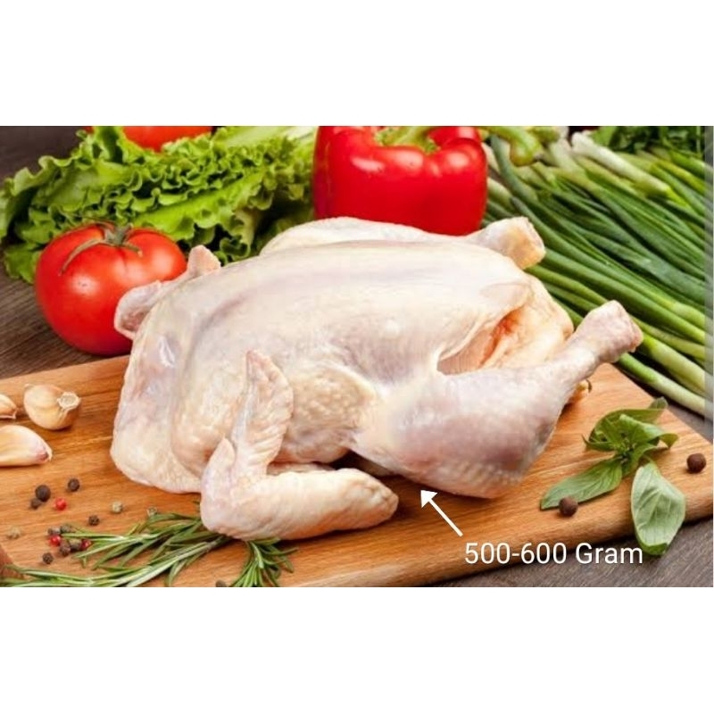 

Ayam karkas broiler frozen