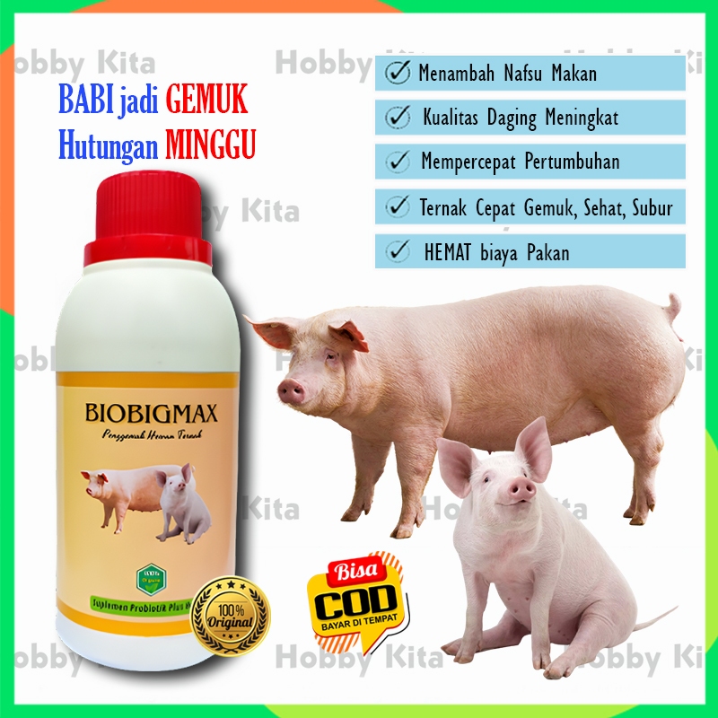 Vitamin babi mempercepat besar BIOBIGMAX Obat penggemuk ternak babi Vitamin babi nafsu makan Obat cacing babi Probiotik babi Suplemen penggemuk babi Nutrisi babi