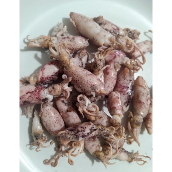 

TERBARU⚡ Cumi asin baby 500gr/cumi asin rebus