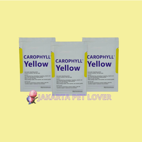 Caro Yellow 5gr Original Caro Prancis