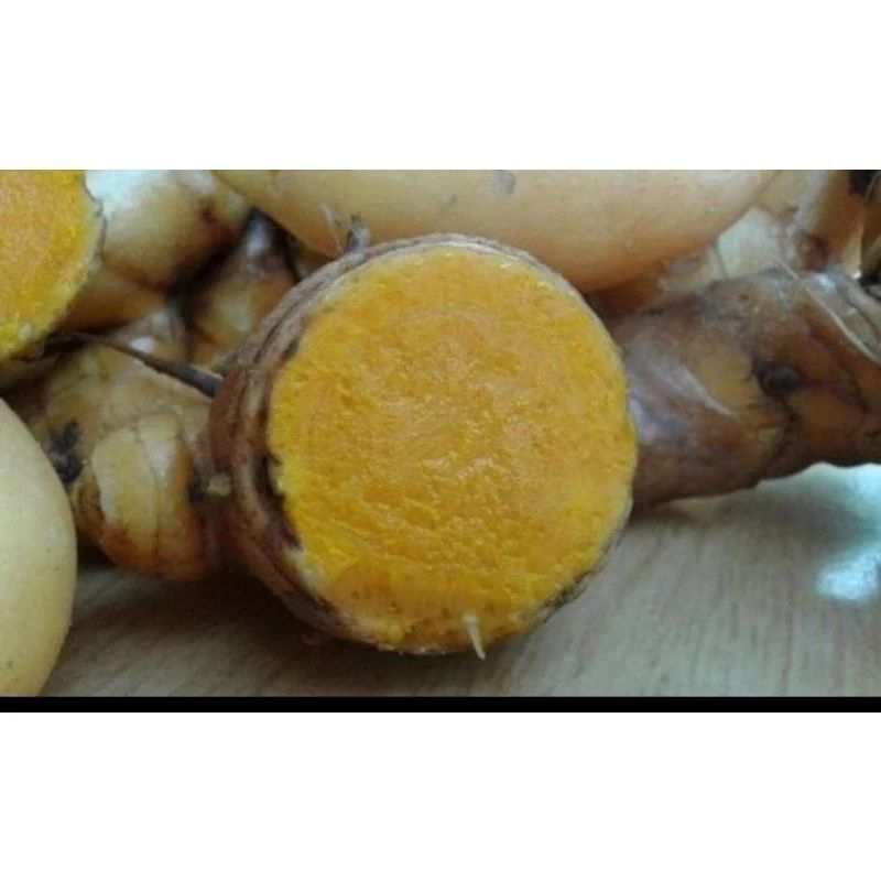 

TEMU LAWAK Super rempah rempah tradisional 1kg termurah