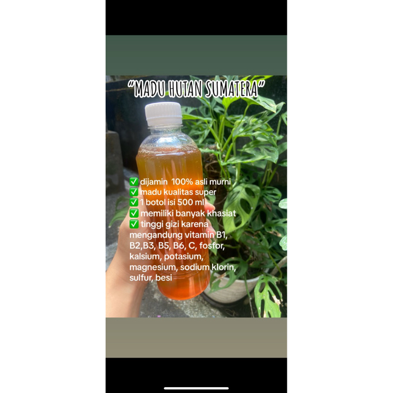 

Madu Hutan Asli Sumatra 500ml