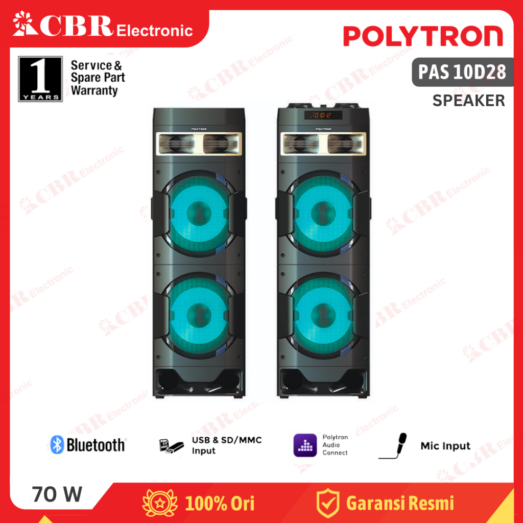 Speaker POLYTRON PAS 10D28