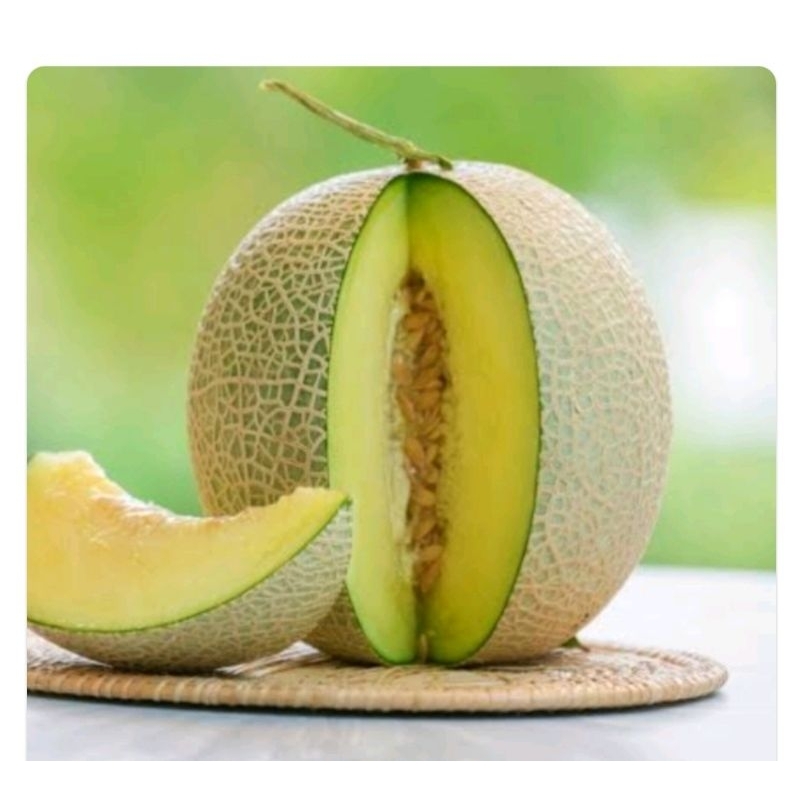 

Melon Putih/buah
