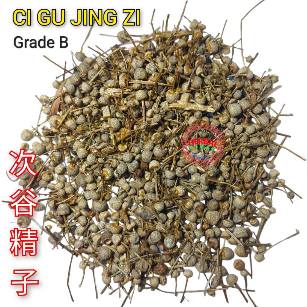 

600gram Grade B Ci Gu Jing Zi / Gu Jing Zi Pipewort Scapus Eriocaulon Buergerianum Asli Pipewort