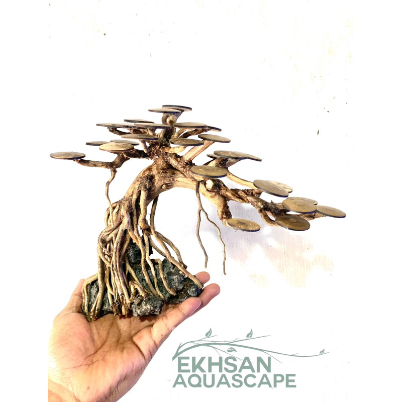 BONSAI AQUASCAPE AKSESORIS AKUARIUM BONUS + MOSS WEEPING HARDSCAPE POHON