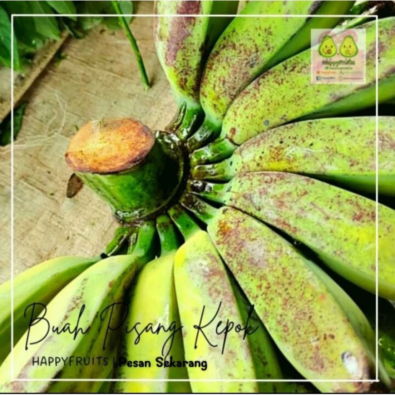 

BUAH PISANG HAPPYFRUITS 1 SISIR