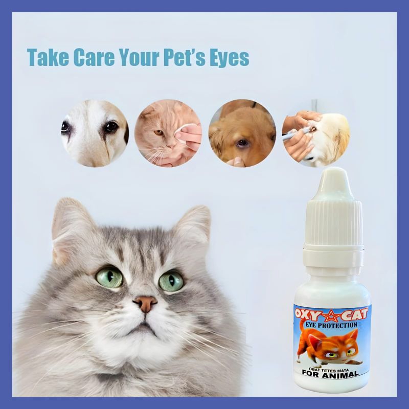 OBAT TETES MATA KUCING OXY CAT || OBAT TETES MATA KUCING BELEKAN INFEKSI