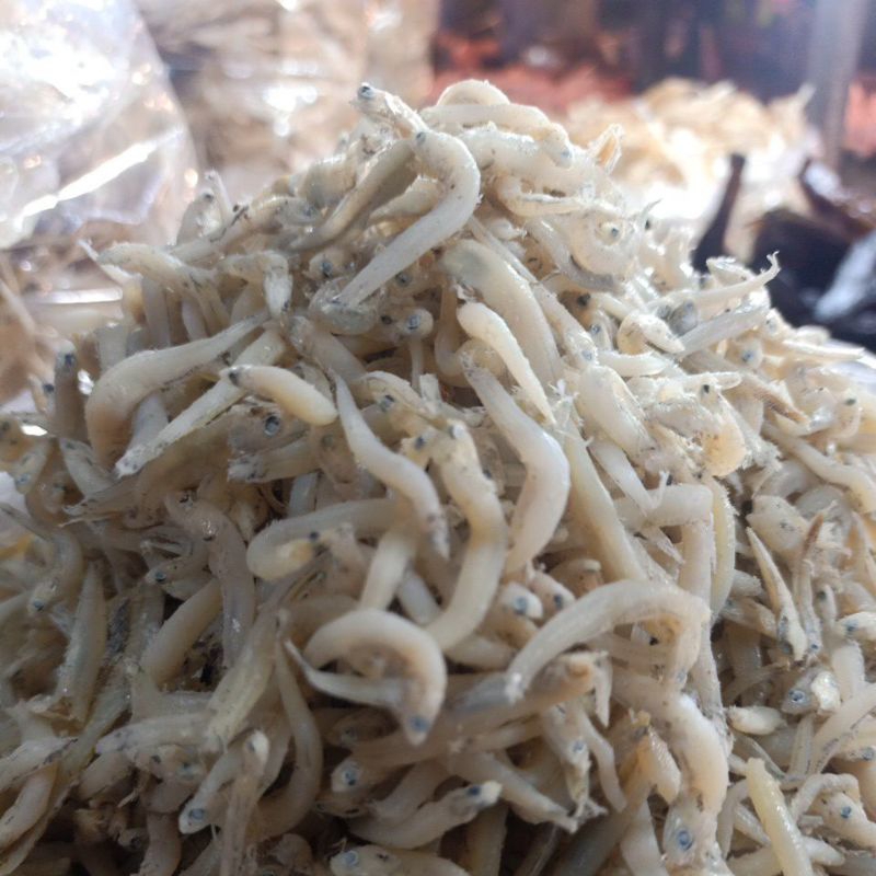 

teri medan
