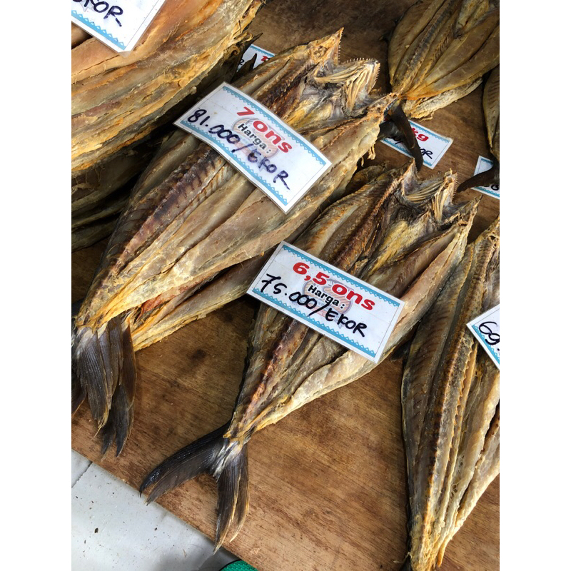 

Tenggiri per ekor berat 6,5 ons