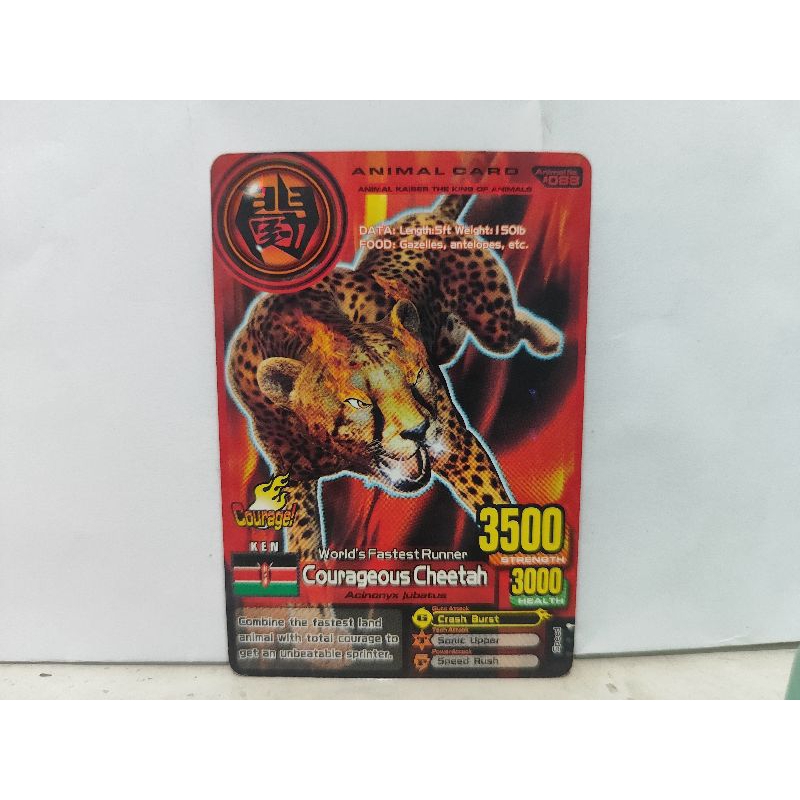 KARTU ANIMAL KAISER ASLI MESIN COURAGES ANIMAL EDITION