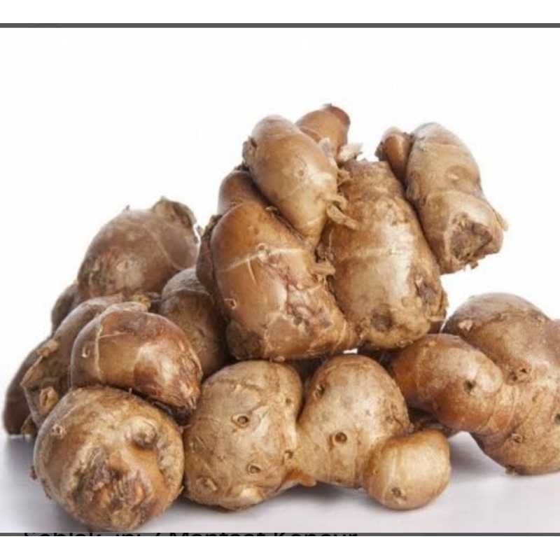 

Kencur / cikur segar 250gram.