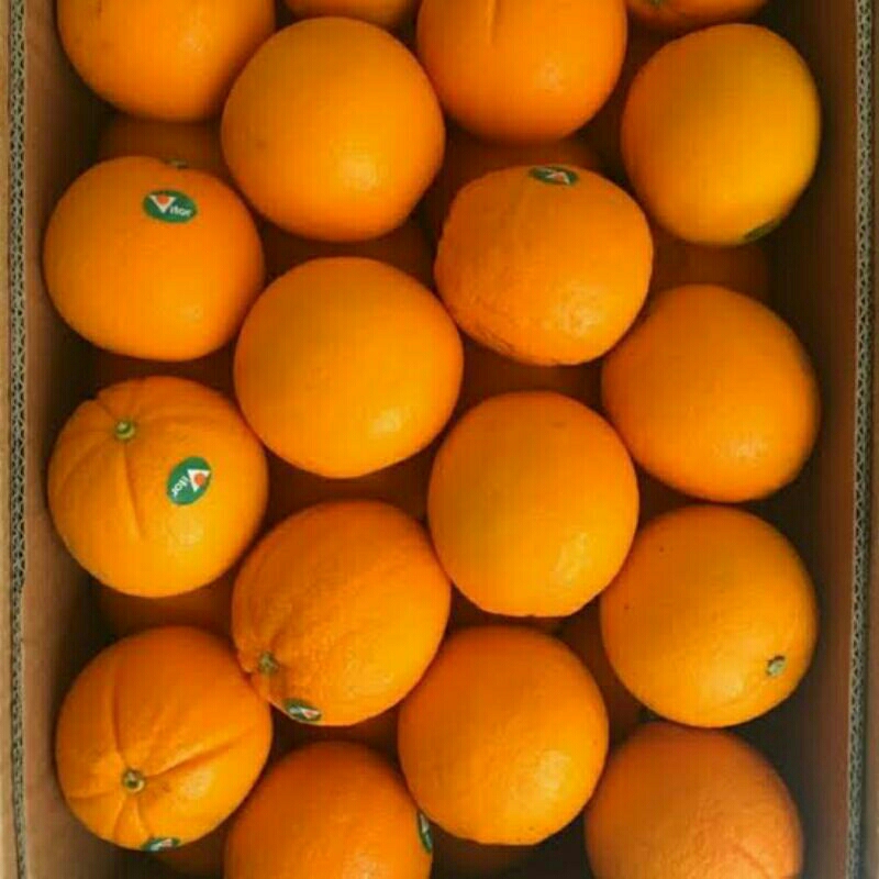 

jeruk sunkist valencia @karton