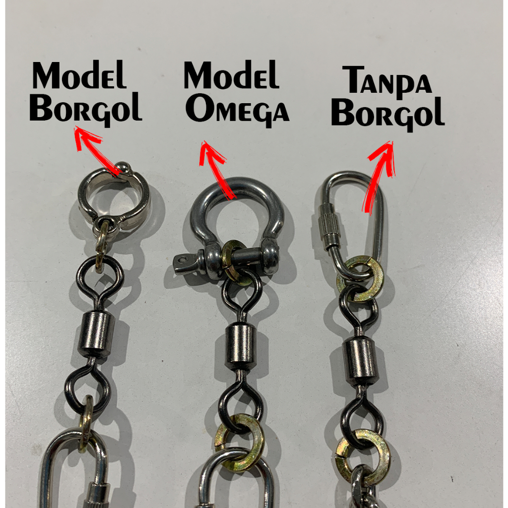 RK Rantai Kakatua Rantai Macaw Rantai Blue and gold Macaw Scarlet Macaw Rantai Afgrey Rantai Bayan