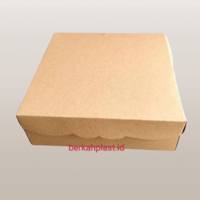 DUS NASI R10B 22X22X7CM 350GSM