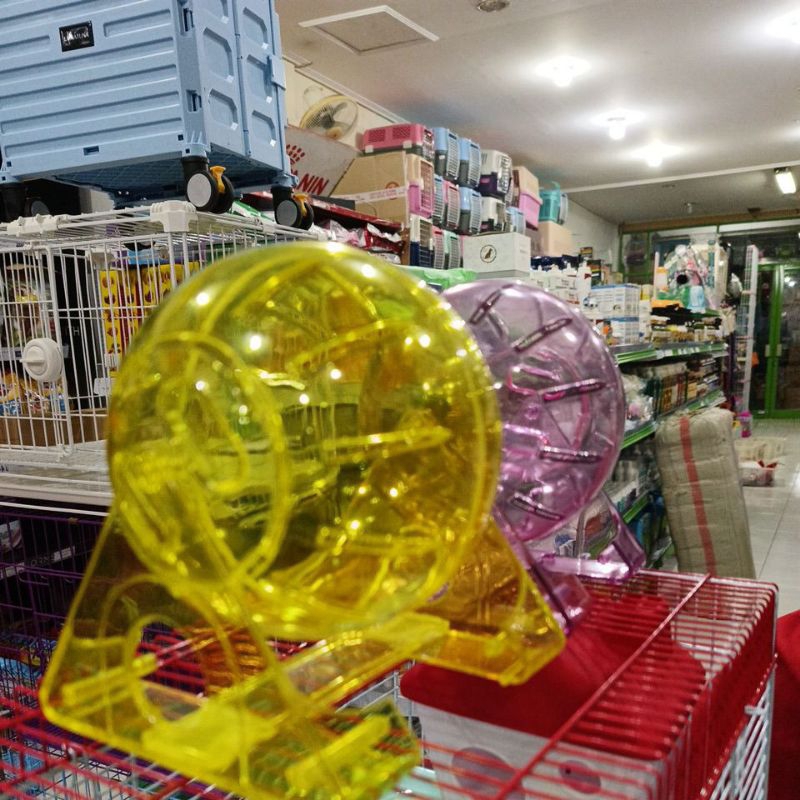 BOLA HAMSTER STANDING TRANSPARAN/MAINAN HAMSTER LUCU