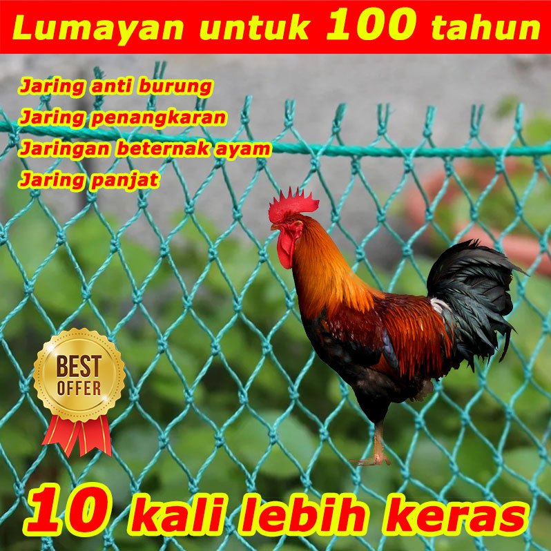 Lumayan untuk 100 tahun JARING AYAM JARING PAGAR AYAM JARING UNGGAS jaring untuk pagar ayam JARING K