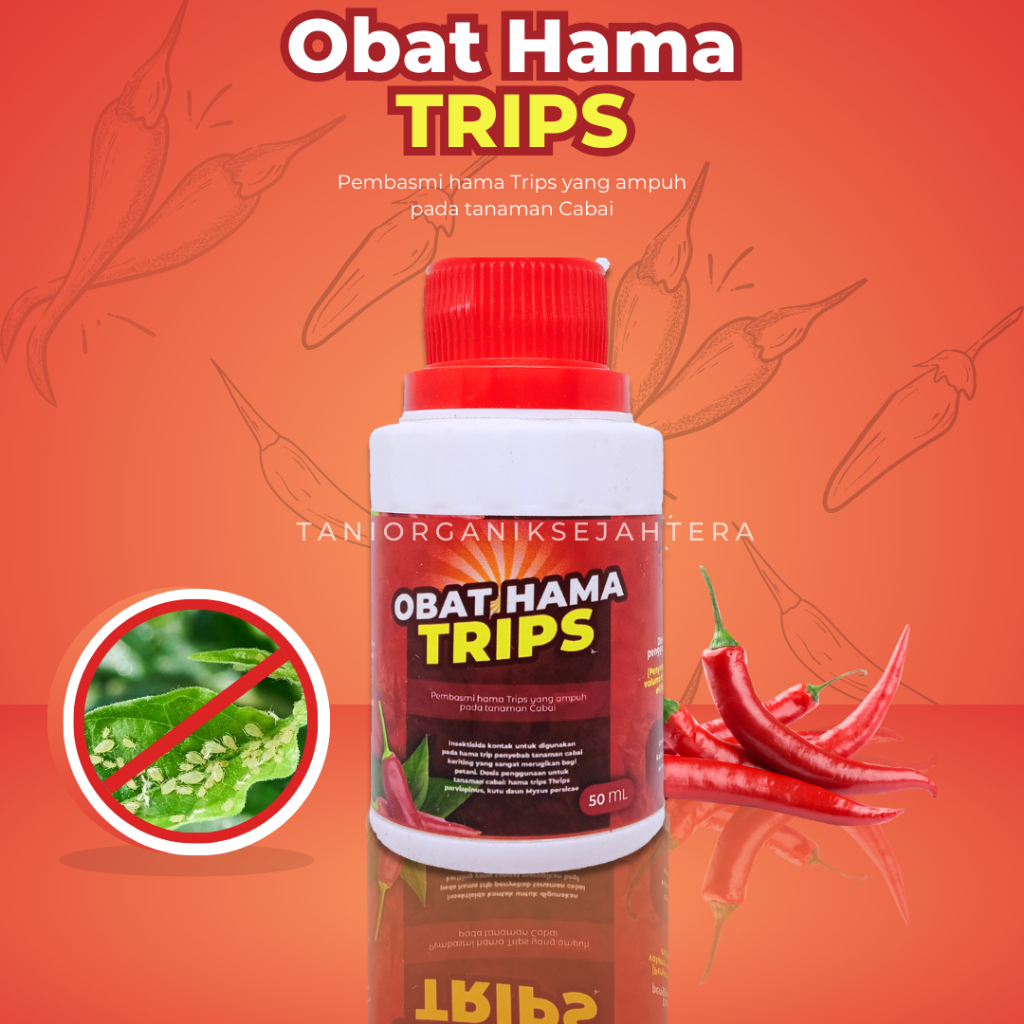 Obat thrips cabai organik, Obat thrips cabai alami, Obat thrips cabai ampuh, Obat thrips cabai jitu,