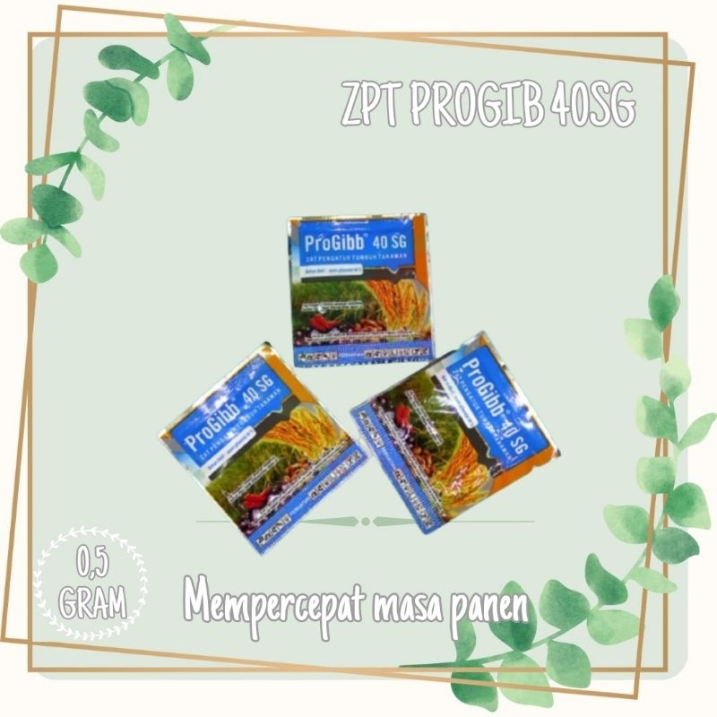 ZPT Progibb 40SG Original Sanitas 0,5 gram