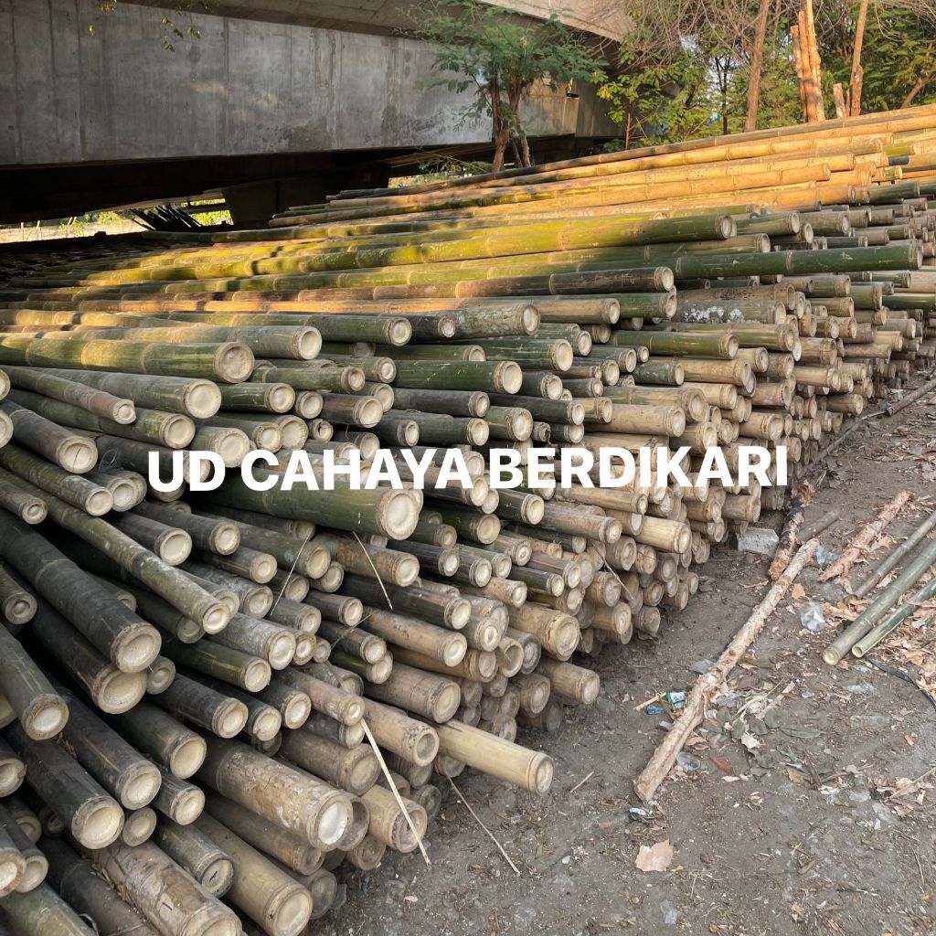 Bambu Steger Jakarta