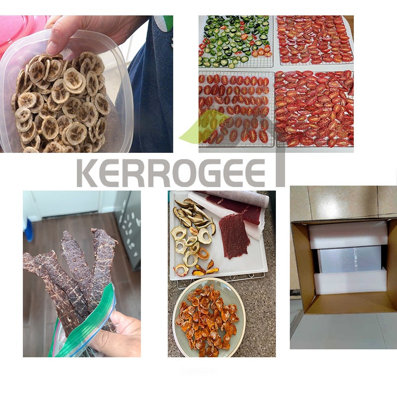 Pengering Makanan Food Dehydrator 10/6Tray Mesin Pengering Makanan Mesin Pengering 400W Makanan