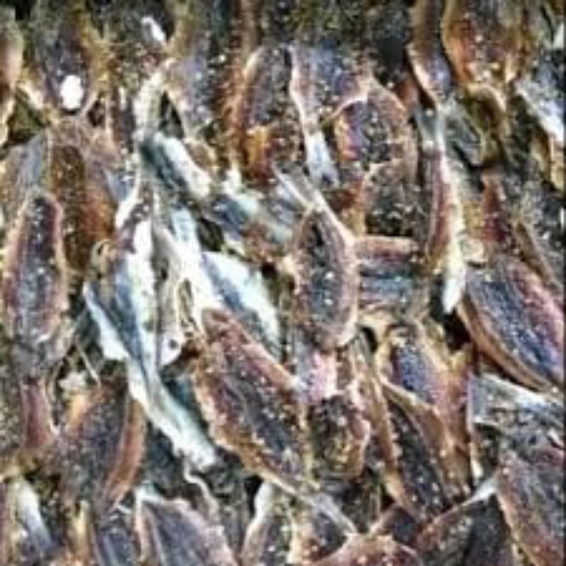 

dendeng manis, dengdeng manis, ikan asin dengdeng, ikan asin manis,ikan murah