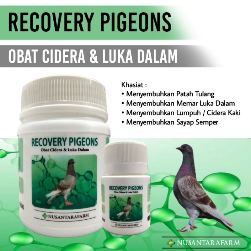 Recovery pigeons Obat khusus merpati cidera patah tulang memar dll obat merpati