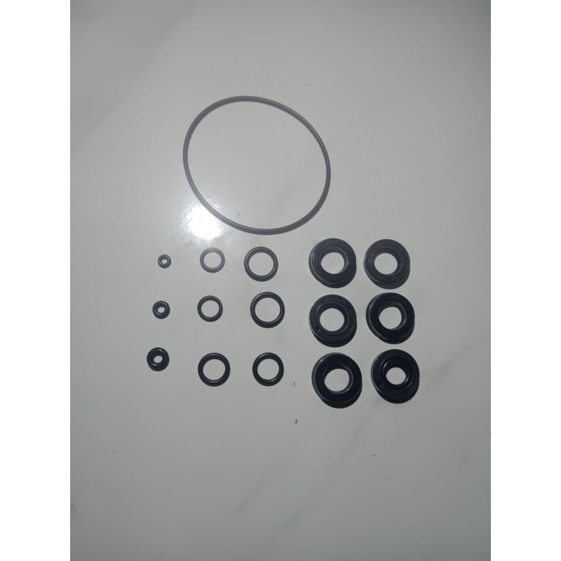 Seal Mesin Starwash Lakoni Annovi Reverberi