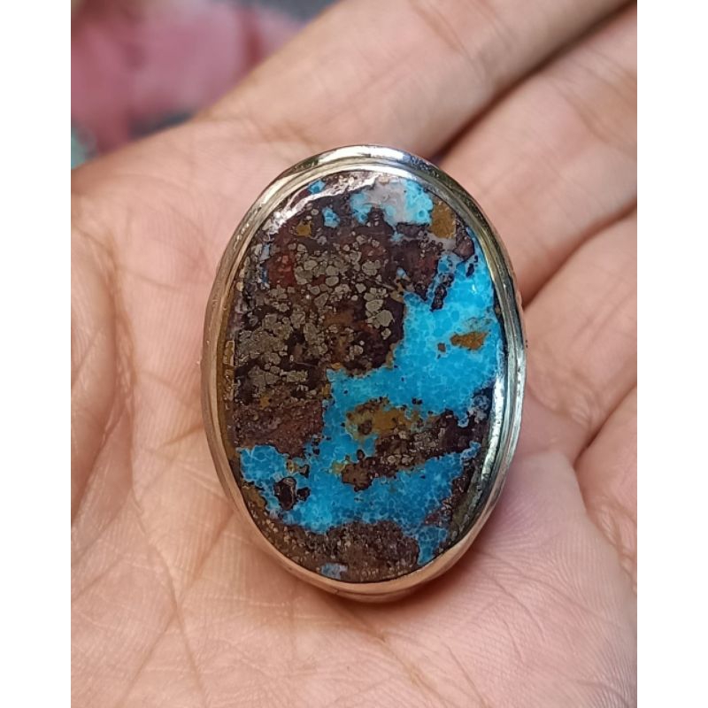 pirus Persia super jumbo