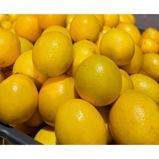 

Buah Lemon California Fresh 500 gr