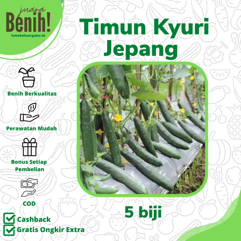 5 biji Benih Timun Jepang Kyuri seed Benih Timun Jepang Sayuran Mentimun Jepang Unggul