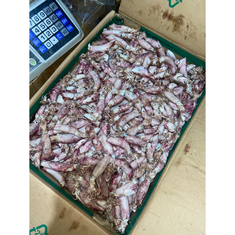 

ikan asin cumi rebus telor/sotong premium semi kering 250gram, 500gram, 1Kg