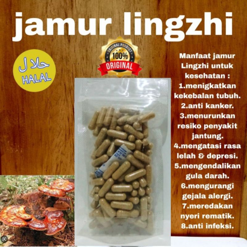 kapsul curah JAMUR LINGZHI ORIGINAL isi 100