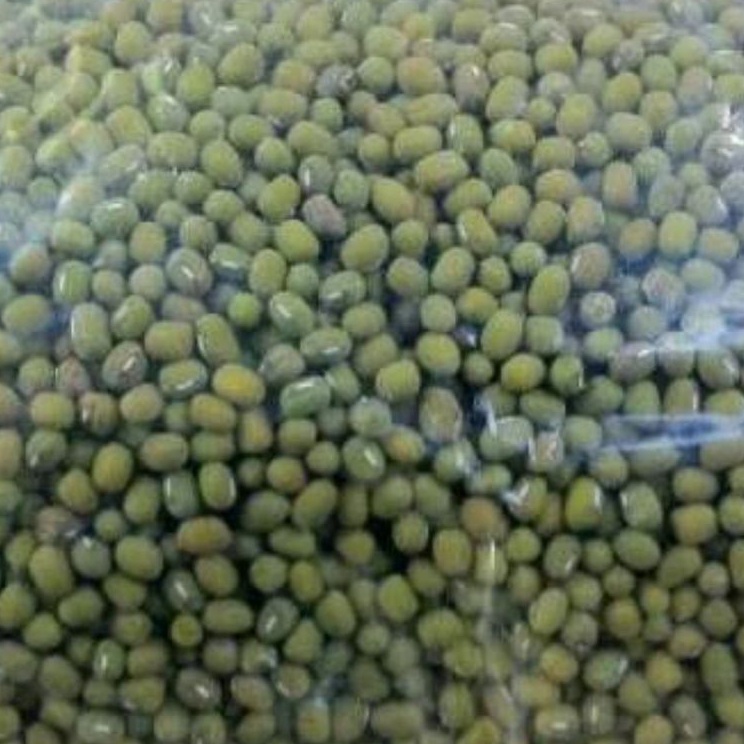 

Best Deal kacang ijo lokal 1 kg kacang ijo bubur